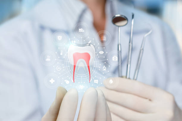 Best Traditional Braces  in Seagoville, TX